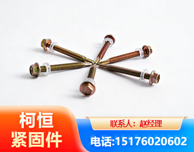 丹东六角钻尾丝